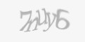 Защитный код