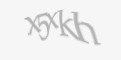 Защитный код