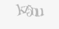 Защитный код
