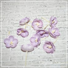 цветы вишни бумажные в витебске